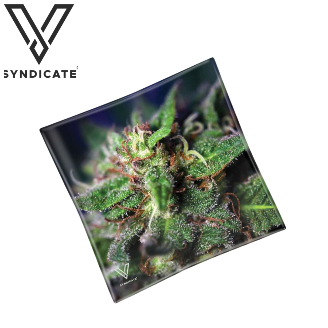 Aschenbecher, V Syndicate®, Blue Dream